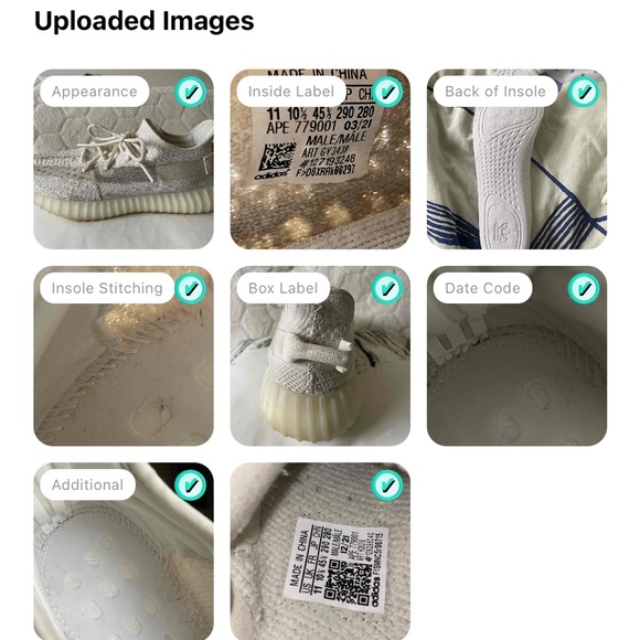 Yeezy Boost 350 V2 Bone - Picture 11 of 11